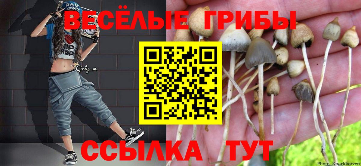 Магнитогорск  как найти   Вход с VPN  Псилоцибиновые грибы GOLDEN TEACHER 