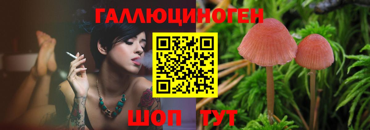 Псилоцибиновые грибы GOLDEN TEACHER Магнитогорск